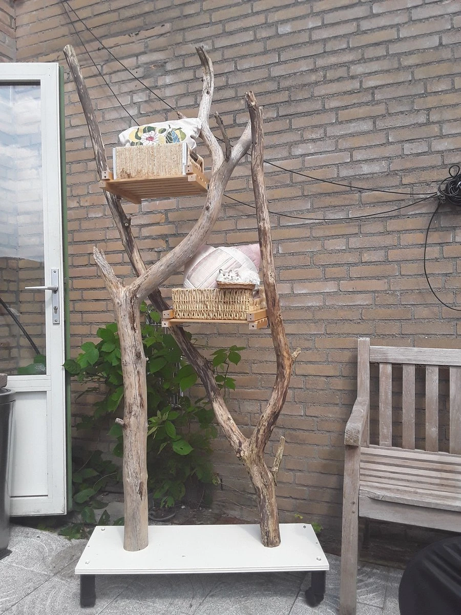 Natuurlijke Klimboom, Krabpaal 11 Natuurlijke Klimboom, Krabpaal - Afbeelding 9