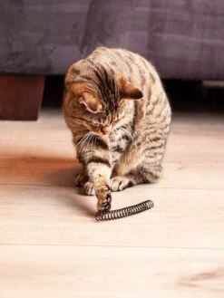 Kattenveertjes Klein - 10 Stuks | Zwart Wit | Kattenspeeltjes | Kattenspeelgoed