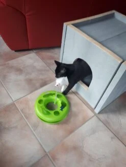 Bronneger Exclusive - Kattenhuis - XXL - Kattenbak Ombouw Kast - Kattenmand -Huisdierbenodigdheden Korting 900x1200 98