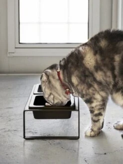 Yamazaki Eetbak - Voederbak Kat - Tweeledig - Zwart -Huisdierbenodigdheden Korting 901x1200 10