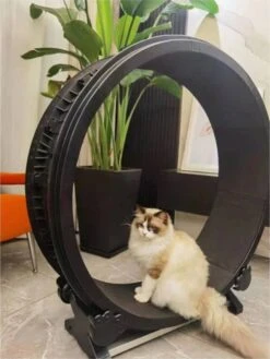 Merkloos Petlux - Looprad / Loopwiel Voor Kat - Kattenspeelgoed - -Huisdierbenodigdheden Korting 901x1200 6