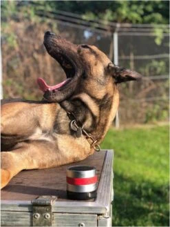 RelaxoPet Pro Dog – Dieren Antistressmiddel – Anti-stress Hond – Ontspanningsmuziek – Ontspanning Voor Hond -Huisdierbenodigdheden Korting 902x1200 5