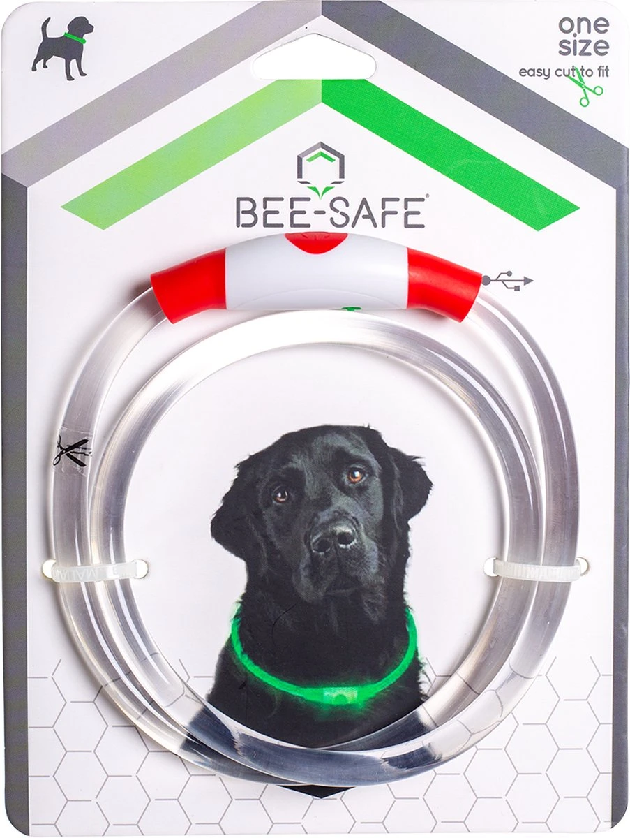 Led Dog Band USB | BEE SAFE -BLUE- | Dier Verlichting | Hondenband LED 7 Led Dog Band USB | BEE SAFE -BLUE- | Dier Verlichting | Hondenband LED - Image 5