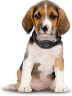 Reptrek® Minitrek GPS Tracker Voor Hond En Kat - Blauw - 4.9 X 3.3 X 1.5 Cm -Huisdierbenodigdheden Korting 904x1200 3