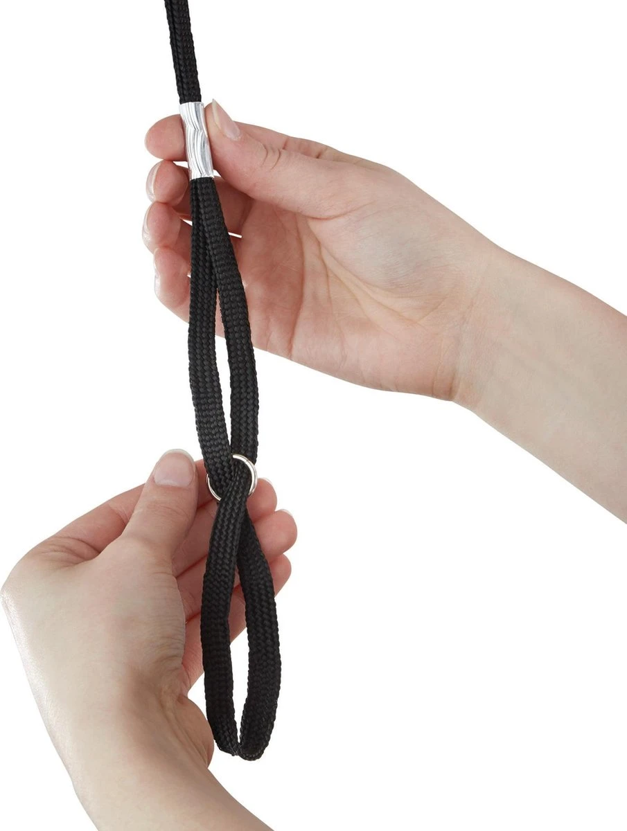 Tectake - Honden Trimtafel Met Twee Lussen - Zwart/zilver- 402893 5 Tectake - Honden Trimtafel Met Twee Lussen - Zwart/zilver- 402893 - Image 3