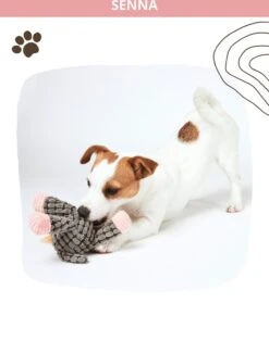 Honden Knuffel - Set Van 2 - Hondenspeelgoed Met Piep - Honden En Katten - Ezel En Giraf - Sellaio -Huisdierbenodigdheden Korting 912x1200 2