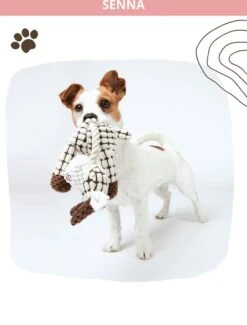 Honden Knuffel - Set Van 2 - Hondenspeelgoed Met Piep - Honden En Katten - Ezel En Giraf - Sellaio -Huisdierbenodigdheden Korting 912x1200 3