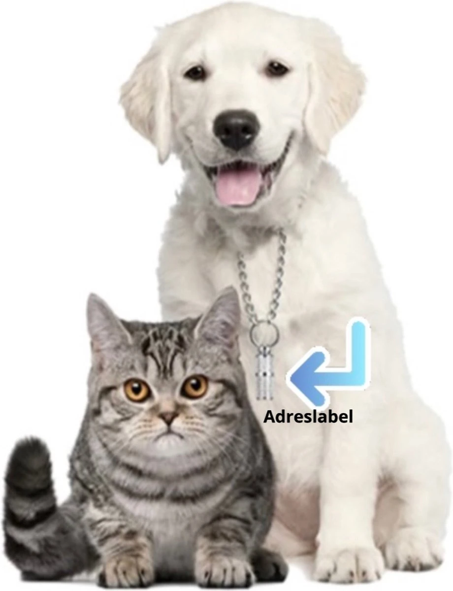 Merkloos Zelfverwarmende Dierendeken Zonder Stroom Thermo Deken Hond Kat Inclusief Adreslabel 70 X 47 Cm 4 Merkloos Zelfverwarmende Dierendeken Zonder Stroom Thermo Deken Hond Kat Inclusief Adreslabel 70 X 47 Cm - Image 2