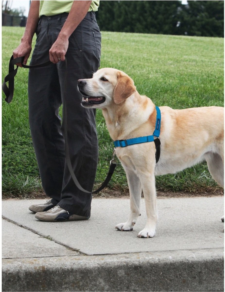 PetSafe Easy Walk® Deluxe Harness - Hondentuig - Blauw - L -1,8 M 13 PetSafe Easy Walk® Deluxe Harness - Hondentuig - Blauw - L -1,8 M - Image 11