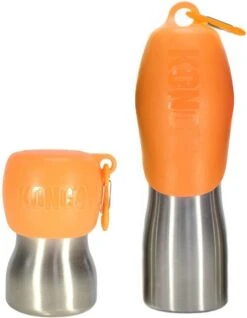KONG H2O 740 Ml Rvs Waterfles Zwart -Huisdierbenodigdheden Korting 932x1200