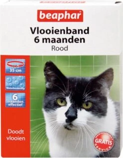 Beaphar Vlooienband Kat - Rood - 1 Stuk -Huisdierbenodigdheden Korting 934x1200 5