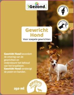 MSM En Glucosamine Gewricht Soepel Voor Honden 250 Ml -Huisdierbenodigdheden Korting 935x1200 2