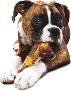 Nylabone Extreme Kauwbot Textuur Met Rund- En Kaassmaak -Huisdierbenodigdheden Korting 937x1200 6