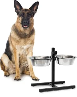 Relaxdays Hondenvoerbak Op Standaard - In Hoogte Verstelbaar - Dubbele Voerbak - Hondenbak - 2 X 2,15 Liter -Huisdierbenodigdheden Korting 952x1200 1