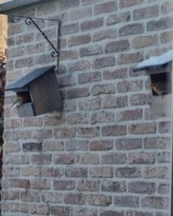 GARDEN SPIRIT Vogelhuisje Roodborstje 19 X 16,5 X 20 Cm - Nestkast -Huisdierbenodigdheden Korting 958x1200 7