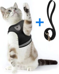Ease Store Kattentuigje – Maat L – Met Looplijn – Kittentuigje – Dierentuigje – Hondentuigje – Reflecterend – Zwart 10 Ease Store Kattentuigje – Maat L – Met Looplijn – Kittentuigje – Dierentuigje – Hondentuigje – Reflecterend – Zwart -Huisdierbenodigdheden Korting 960x1200 30