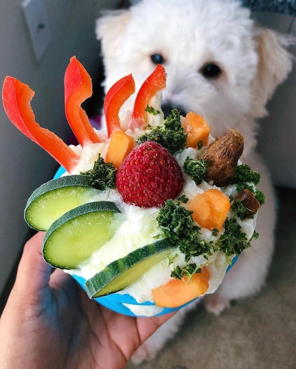 West Paw Toppl Zogoflex - Uitdagend En Sterk Speelgoed Voor Honden - Slowfeeder - Vulbaar Met Voer Of Snacks - Kleur: Groen, Maat: Large 11 West Paw Toppl Zogoflex - Uitdagend En Sterk Speelgoed Voor Honden - Slowfeeder - Vulbaar Met Voer Of Snacks - Kleur: Groen, Maat: Large - Image 9