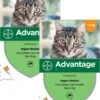 Bayer Advantage 40 Kat 4 Pip - Anti Vlooienmiddel - 2 X 0.4 Ml - 0 - 4 Kg -Huisdierbenodigdheden Korting 965x1200 4