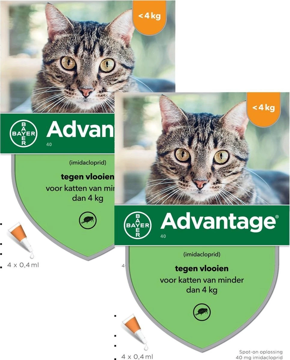 Bayer Advantage 40 Kat 4 Pip - Anti Vlooienmiddel - 2 X 0.4 Ml - 0 - 4 Kg 3 Bayer Advantage 40 Kat 4 Pip - Anti Vlooienmiddel - 2 X 0.4 Ml - 0 - 4 Kg