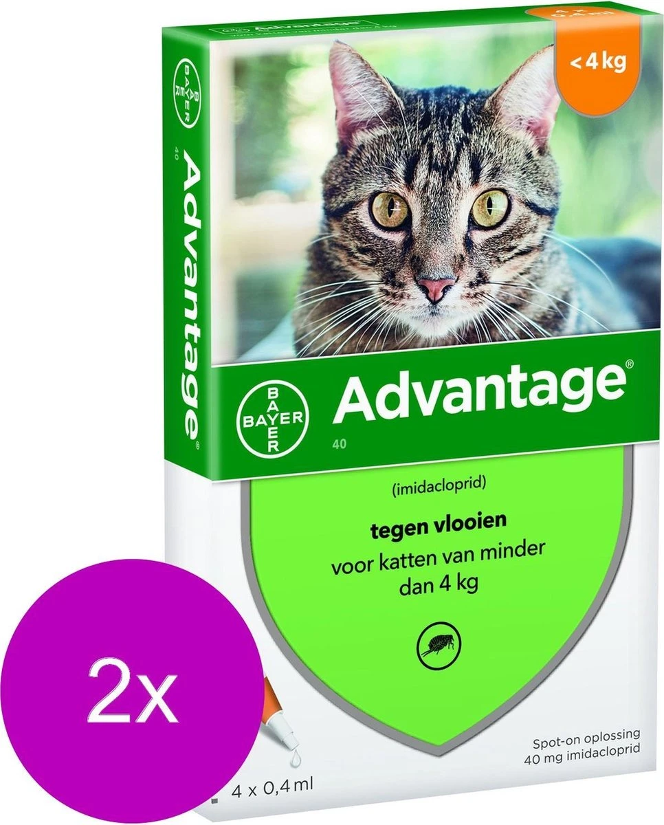 Bayer Advantage 40 Kat 4 Pip - Anti Vlooienmiddel - 2 X 0.4 Ml - 0 - 4 Kg 4 Bayer Advantage 40 Kat 4 Pip - Anti Vlooienmiddel - 2 X 0.4 Ml - 0 - 4 Kg - Image 2
