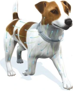 Seresto Vlooien En Tekenband - Grote Hond - >8 Kg -Huisdierbenodigdheden Korting 968x1200 3