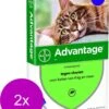 Bayer Advantage 80 Kat 4 Pip - Anti Vlooienmiddel - 2 X 0.8 Ml - > 4 Kg 1 Bayer Advantage 80 Kat 4 Pip - Anti Vlooienmiddel - 2 X 0.8 Ml - > 4 Kg -Huisdierbenodigdheden Korting 968x1200 5