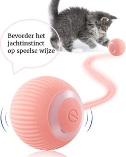 Otiume Slimme Katten Speeltje - Interactieve Zelf Rollende Bal Voor Katten - Kattenspeeltjes - USB Oplaadbaar- Turquoise 16 Otiume Slimme Katten Speeltje - Interactieve Zelf Rollende Bal Voor Katten - Kattenspeeltjes - USB Oplaadbaar- Turquoise -Huisdierbenodigdheden Korting 968x1200 8