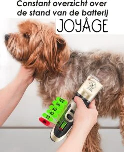 Joyage Professionele Hondentondeuse Voor Dikke Vacht – Honden Tondeuse & Hondentrimmer Tondeuse – Stille Tondeuse Katten & Honden Trimset Lang Haar – Trimmer Hond - Hondentondeuse Draadloos - Tondeuse Voor Honden - Tondeuse Hond Dikke Vacht 13 Joyage Professionele Hondentondeuse Voor Dikke Vacht – Honden Tondeuse & Hondentrimmer Tondeuse – Stille Tondeuse Katten & Honden Trimset Lang Haar – Trimmer Hond - Hondentondeuse Draadloos - Tondeuse Voor Honden - Tondeuse Hond Dikke Vacht -Huisdierbenodigdheden Korting 979x1200