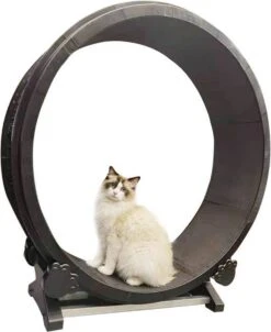 Merkloos Petlux - Looprad / Loopwiel Voor Kat - Kattenspeelgoed - -Huisdierbenodigdheden Korting 982x1200 5