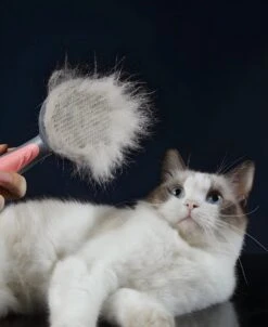 Pakeway T9 - Kattenborstel - Zelfreinigende Kattenkam - Roze - Massageborstel - 19,3 Cm 22 Pakeway T9 - Kattenborstel - Zelfreinigende Kattenkam - Roze - Massageborstel - 19,3 Cm -Huisdierbenodigdheden Korting 983x1200