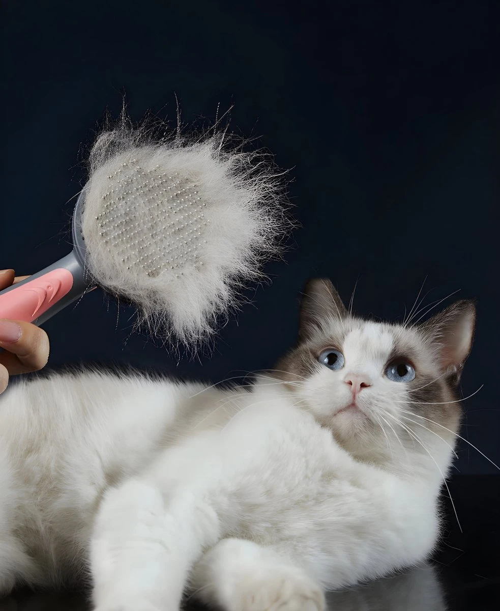 Pakeway T9 - Kattenborstel - Zelfreinigende Kattenkam - Roze - Massageborstel - 19,3 Cm 12 Pakeway T9 - Kattenborstel - Zelfreinigende Kattenkam - Roze - Massageborstel - 19,3 Cm - Image 10