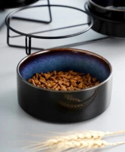 GIZMO Voerbak Kat Dubbel - Zwart/Blauw - 2 Keramische Drink- & Voerbakken Met Standaard - Drinkbak / Voerbak Kat - 13 Cm - 400ML -Huisdierbenodigdheden Korting 985x1200 2