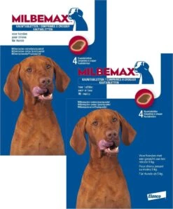 Elanco Milbemax Kauwtablet Hond Vanaf 5kg - Anti Wormenmiddel - 2 X 28 G 4 Stuks Vanaf 5 Kg -Huisdierbenodigdheden Korting 993x1200