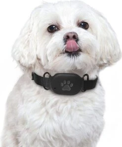 Reptrek® Minitrek GPS Tracker Voor Hond En Kat - Blauw - 4.9 X 3.3 X 1.5 Cm -Huisdierbenodigdheden Korting 994x1200 3