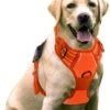 Sharon B - Hondentuigje - Voor Middelgrote Honden - Oranje - Maat M - No Pull - Anti Trek - Reflecterend - Hoeft Niet Over Het Hoofd Aangetrokken Te Worden -Huisdierbenodigdheden Korting 999x1200 13